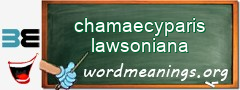 WordMeaning blackboard for chamaecyparis lawsoniana